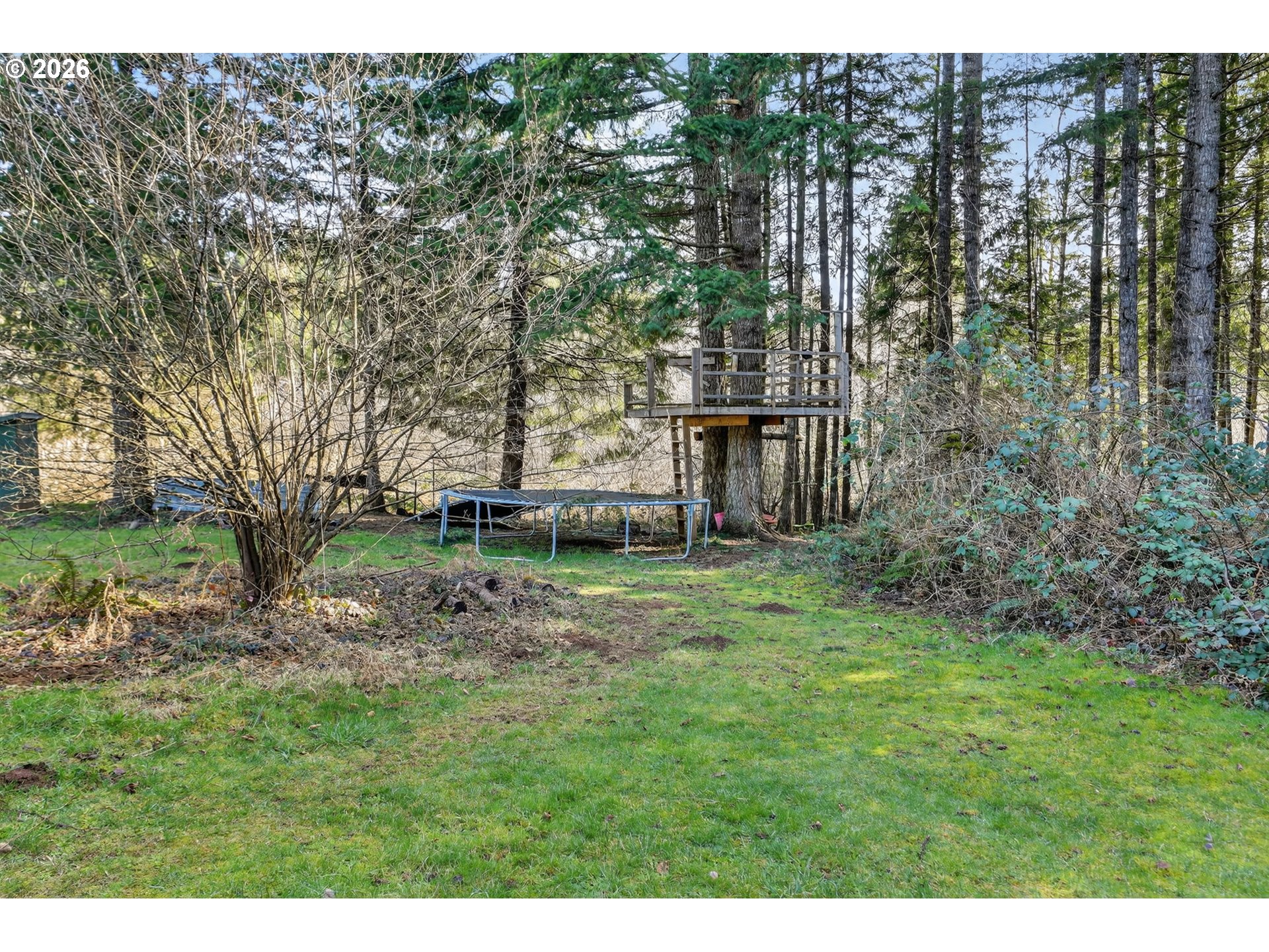 26200 Highway 211 Estacada, OR 97023 - Photo 16 of 24 a view of a backyard with large trees