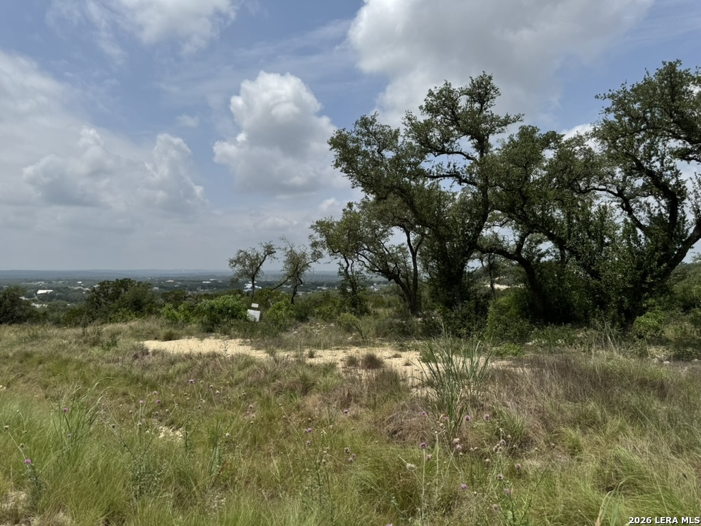 686 Butler Oaks Bulverde, TX 78163 - Photo 11 of 11