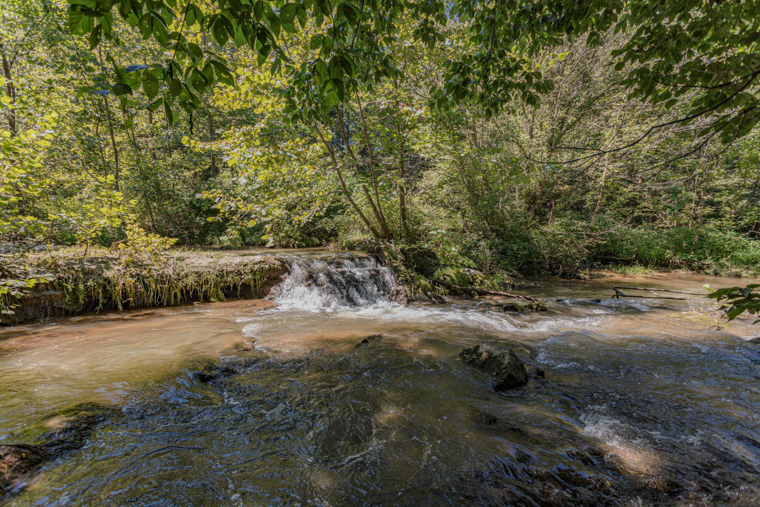 763 Hays Creek Road Raphine, VA 24472 - Photo 2 of 48 2
