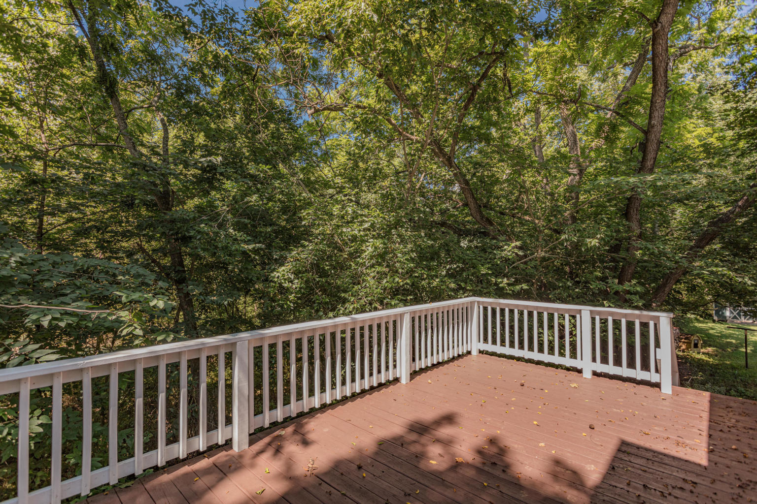 763 Hays Creek Road Raphine, VA 24472 - Photo 39 of 48 39