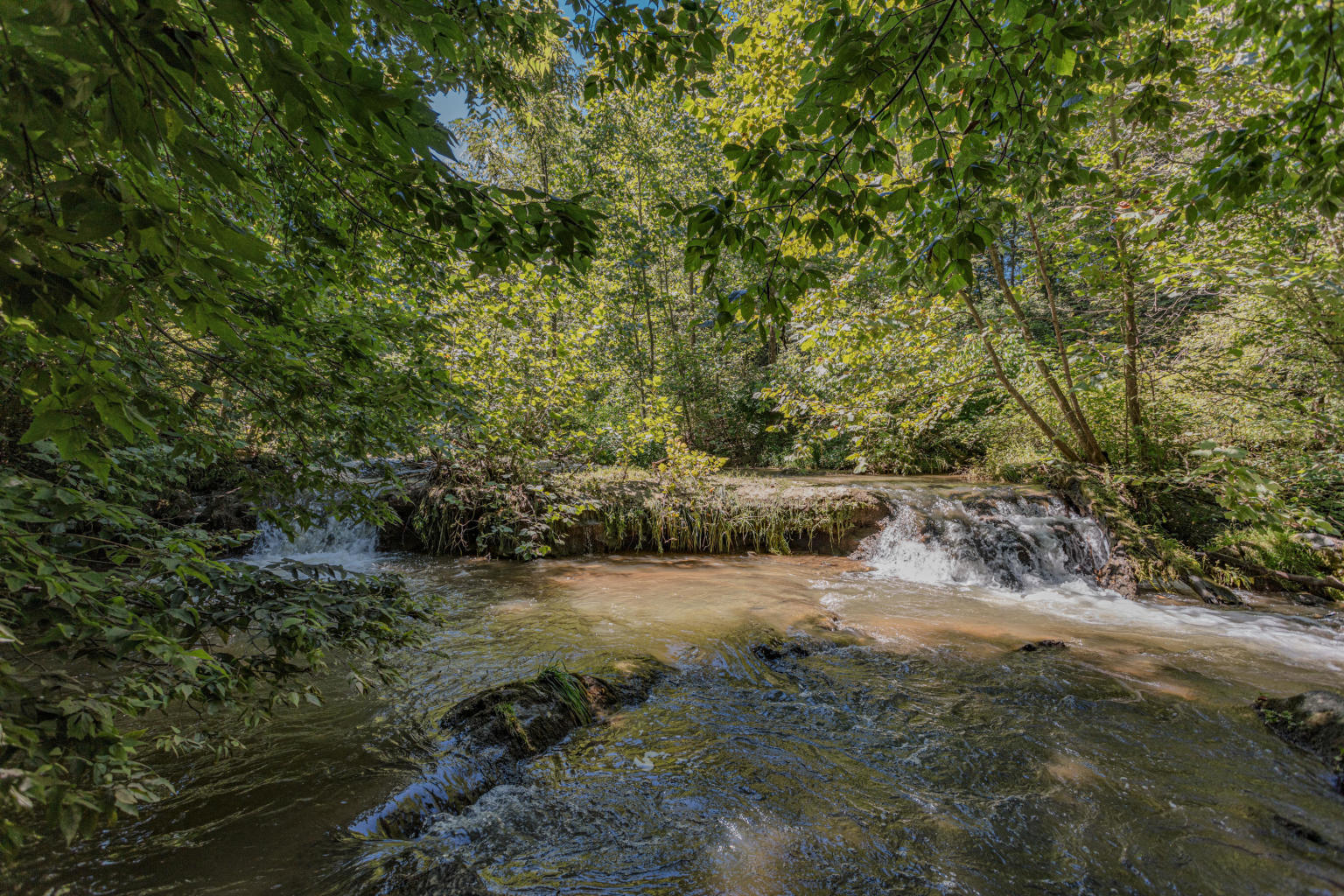 763 Hays Creek Road Raphine, VA 24472 - Photo 40 of 48 40
