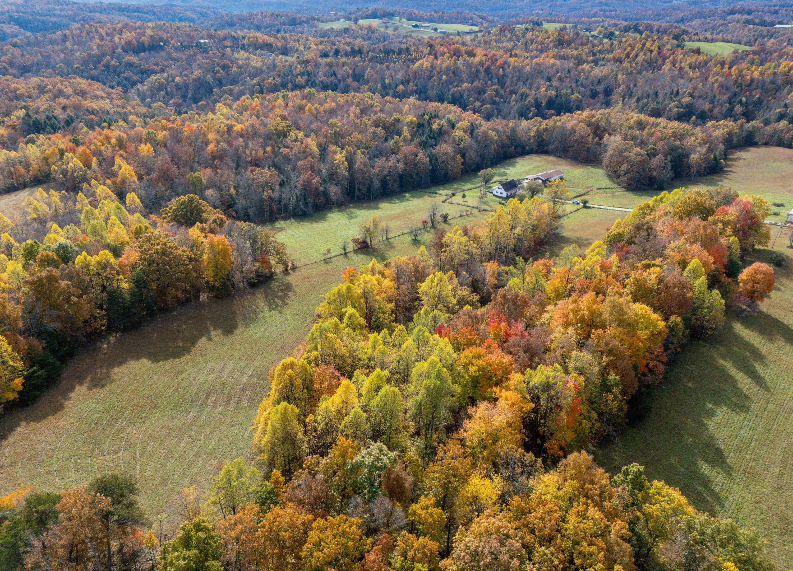 11039 Brown Ridge Road Morehead, KY 40351 - Photo 51 of 55 DJI_20251104104846_0006_D