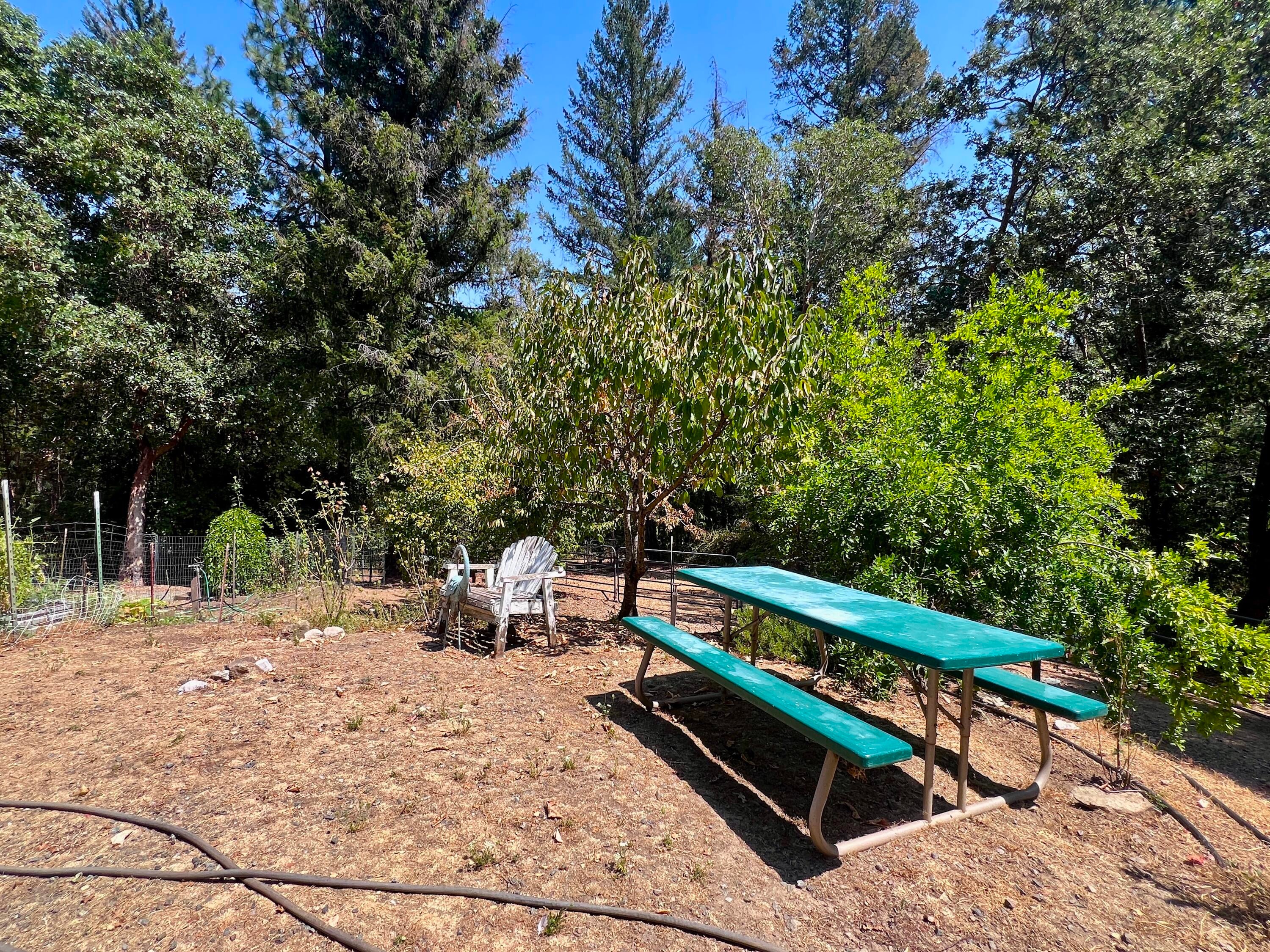 1121 Pattison Ranch Road Big Bar, CA 96010 - Photo 40 of 54 Gallery Image 40