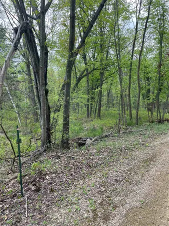 $115,000 | 2.8-ac Deer Run, Montello, WI 53949