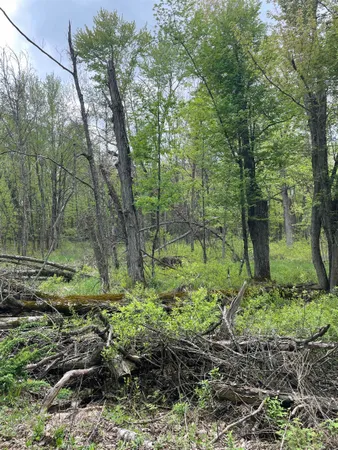 $115,000 | 2.8-ac Deer Run, Montello, WI 53949