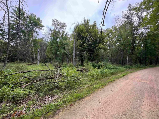 $130,000 | 2.8-ac Deer Run, Montello, WI 53949