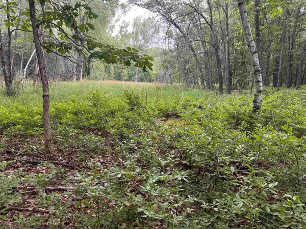 $115,000 | 2.8-ac Deer Run, Montello, WI 53949