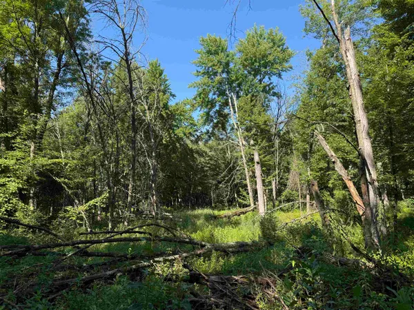 $115,000 | 2.8-ac Deer Run, Montello, WI 53949