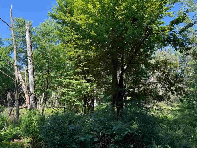 $130,000 | 2.8-ac Deer Run, Montello, WI 53949