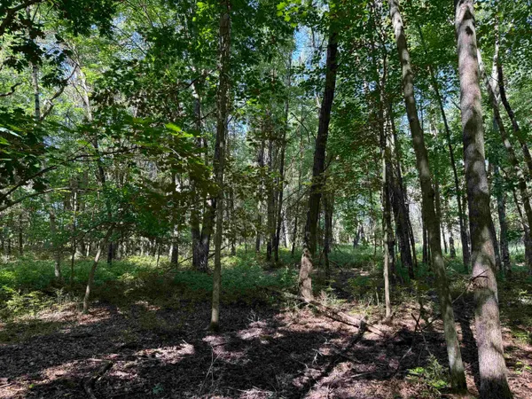 $115,000 | 2.8-ac Deer Run, Montello, WI 53949