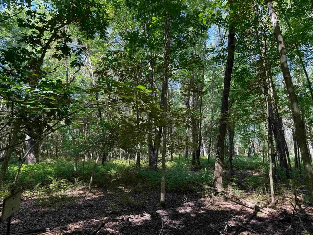 $130,000 | 2.8-ac Deer Run, Montello, WI 53949