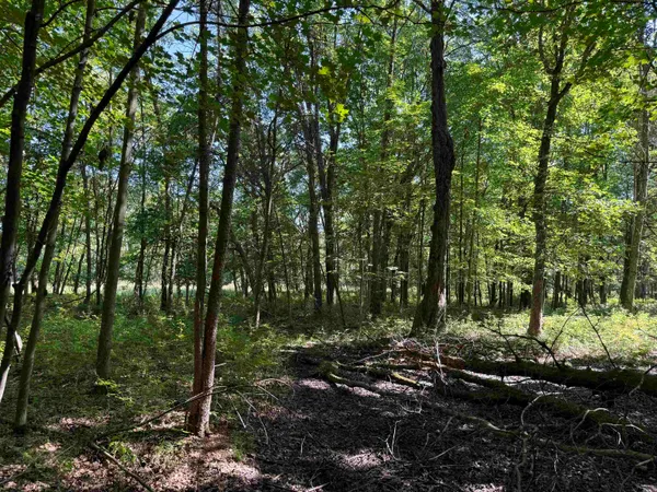 $115,000 | 2.8-ac Deer Run, Montello, WI 53949