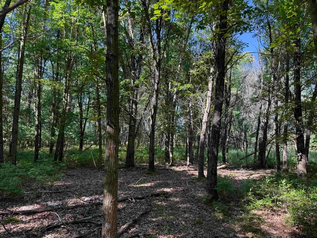 $130,000 | 2.8-ac Deer Run, Montello, WI 53949