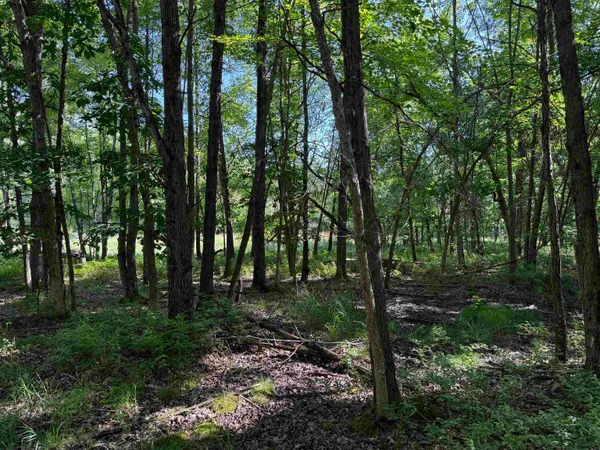 $115,000 | 2.8-ac Deer Run, Montello, WI 53949