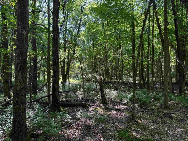 $115,000 | 2.8-ac Deer Run, Montello, WI 53949