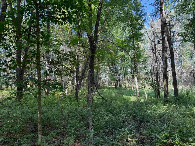 $130,000 | 2.8-ac Deer Run, Montello, WI 53949