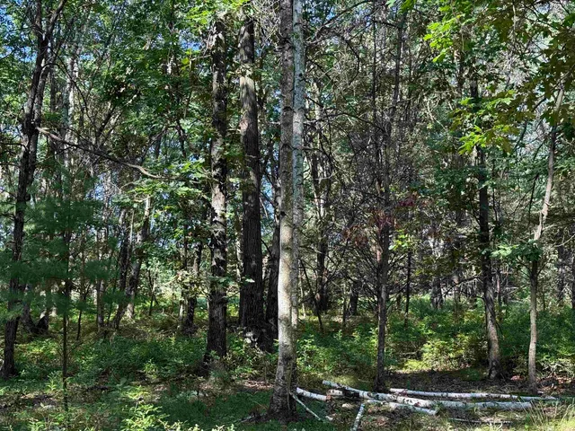 $130,000 | 2.8-ac Deer Run, Montello, WI 53949