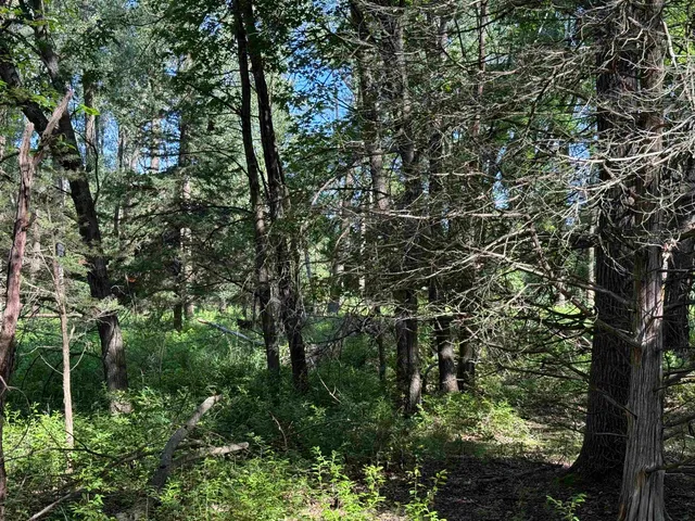 $130,000 | 2.8-ac Deer Run, Montello, WI 53949