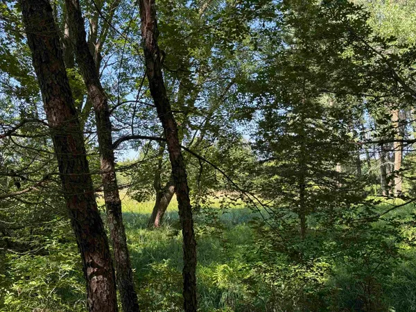 $115,000 | 2.8-ac Deer Run, Montello, WI 53949