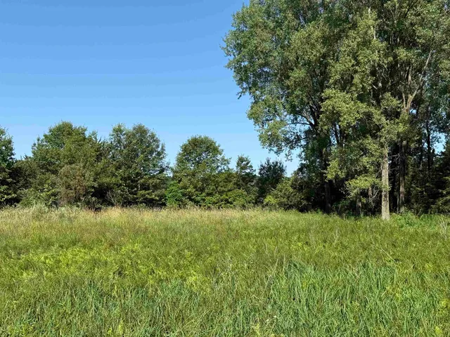 $130,000 | 2.8-ac Deer Run, Montello, WI 53949