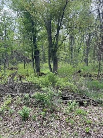 $130,000 | 2.8-ac Deer Run, Montello, WI 53949