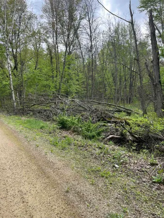 $115,000 | 2.8-ac Deer Run, Montello, WI 53949