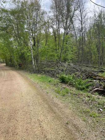 $115,000 | 2.8-ac Deer Run, Montello, WI 53949