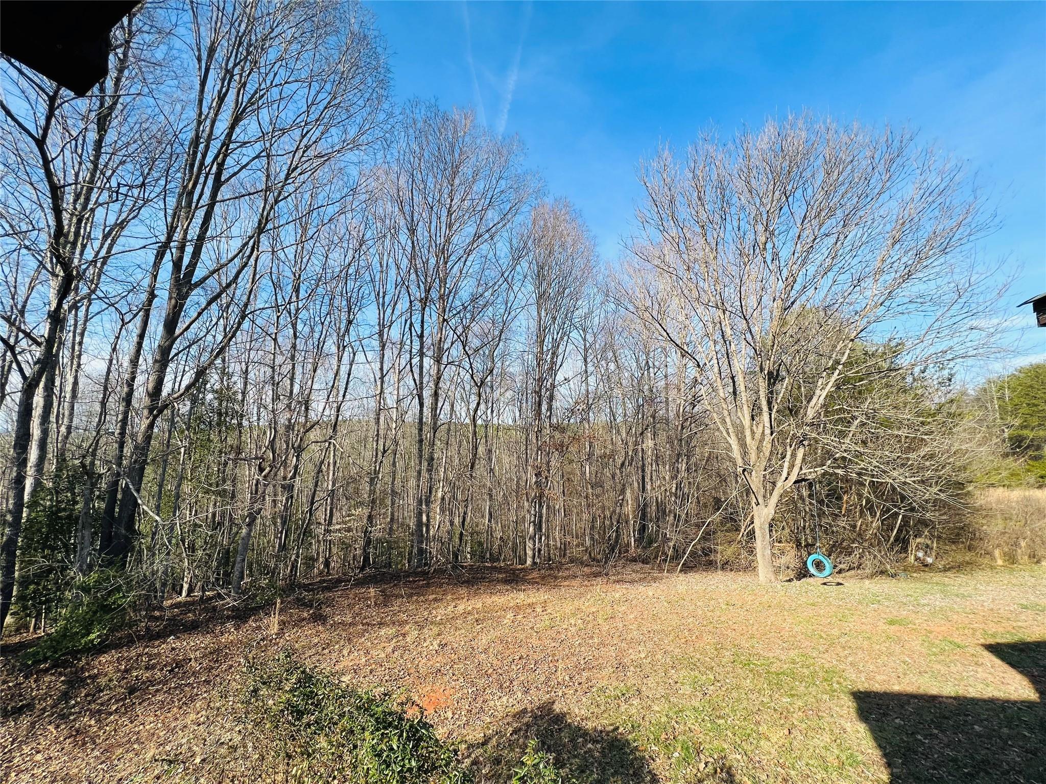 238 Powerhouse Road Lawndale, NC 28090 - Photo 5 of 21 Gallery Image 5