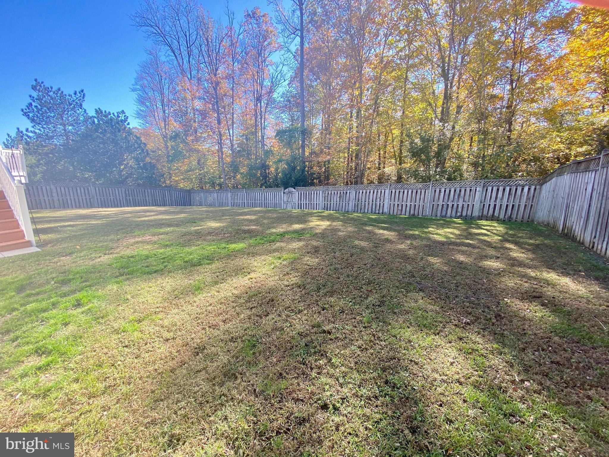 64 Tavern Road Stafford, VA 22554 - Photo 16 of 24 a view of yard with trees in the background