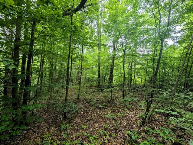 $24,900 | Bell Hill Road, Painted Post, NY 14870