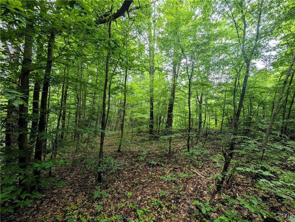 Bell Hill Road Painted Post, NY 14870 - Photo 11 of 15