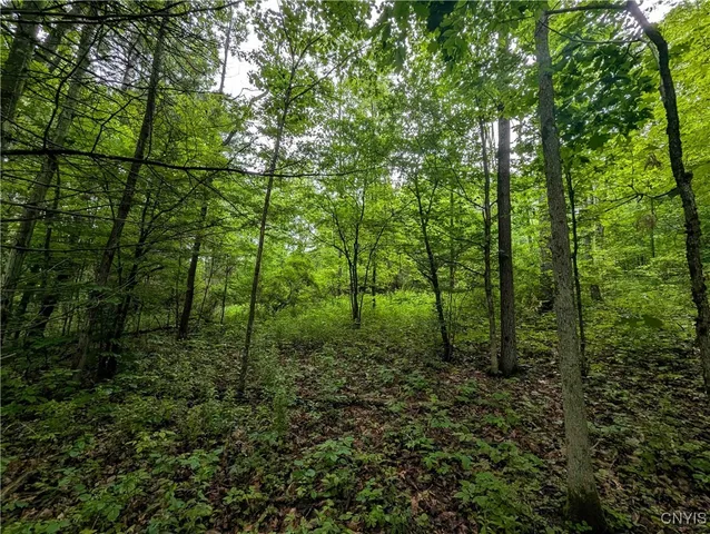 $24,900 | Bell Hill Road, Painted Post, NY 14870