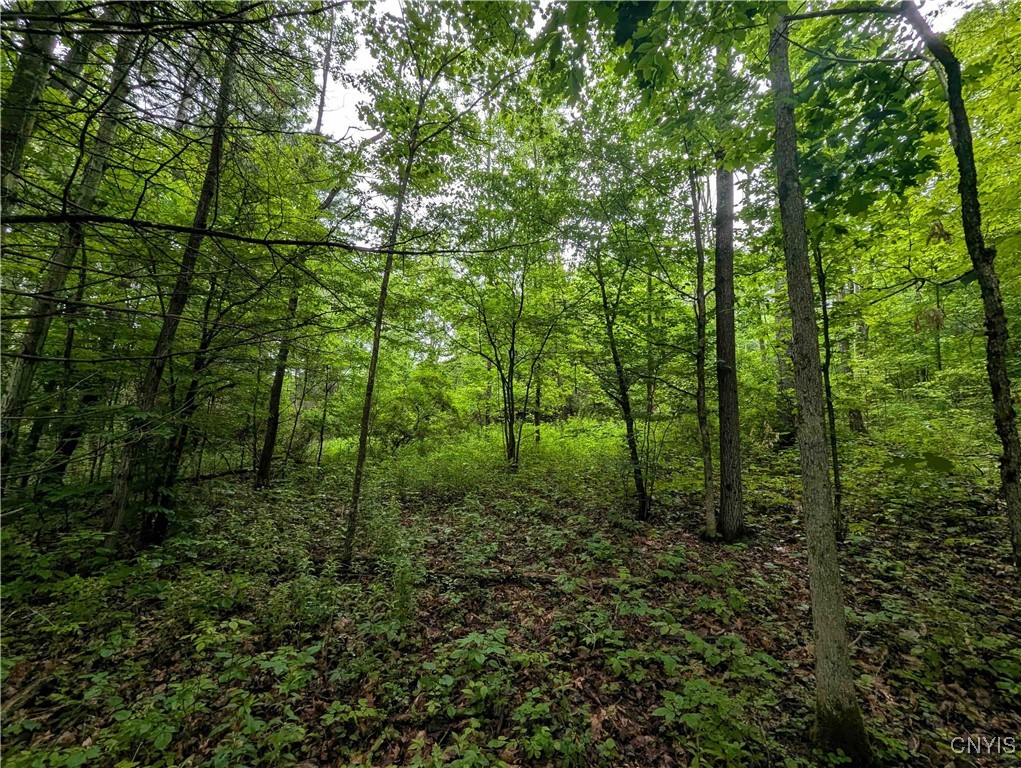 Bell Hill Road Painted Post, NY 14870 - Photo 12 of 15