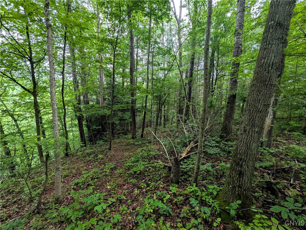 Bell Hill Road Painted Post, NY 14870 - Photo 13 of 15