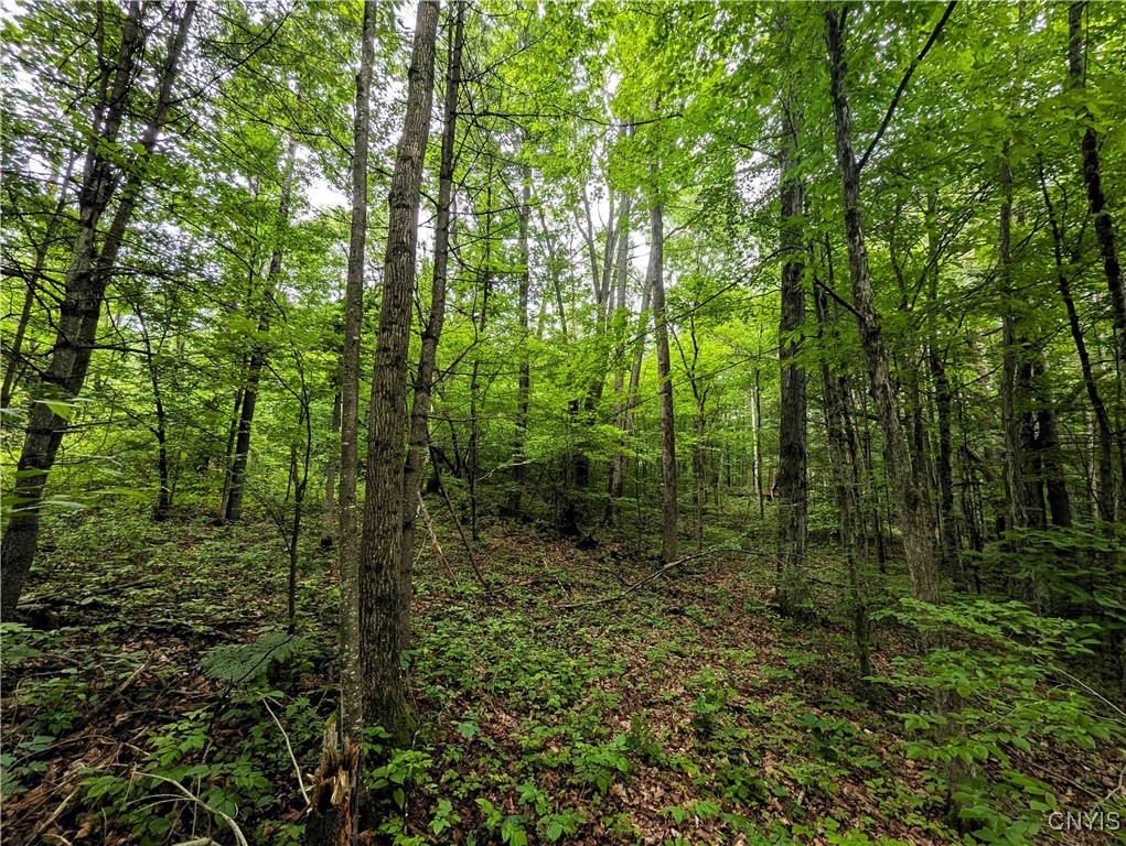 Bell Hill Road Painted Post, NY 14870 - Photo 14 of 15