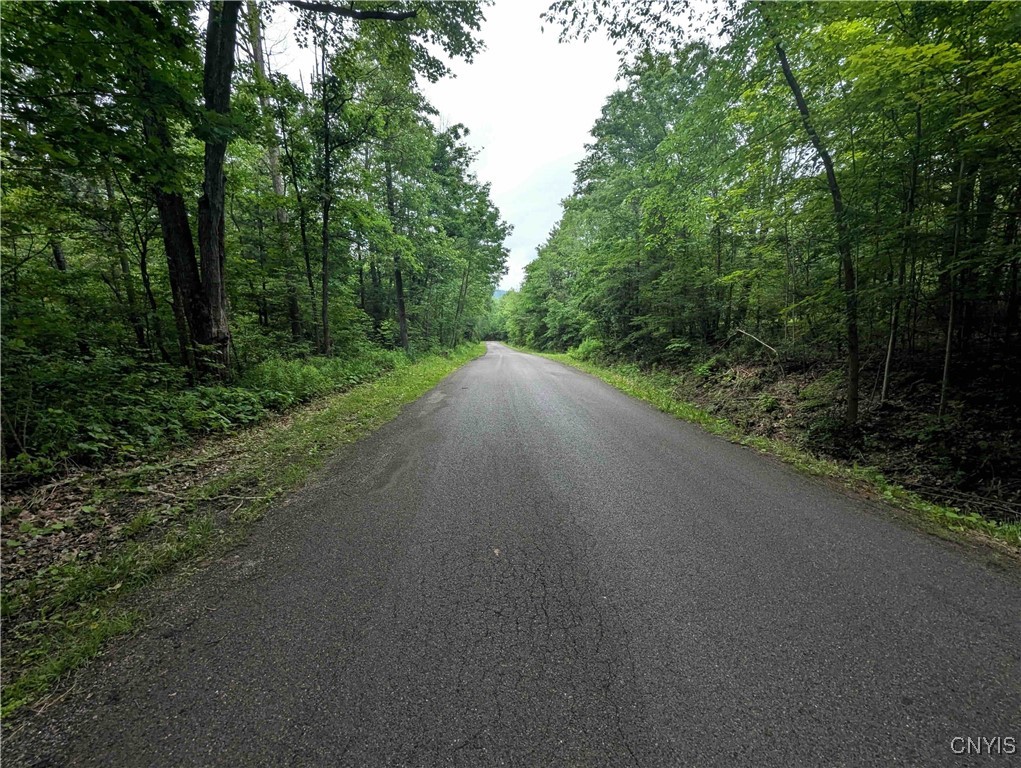 Bell Hill Road Painted Post, NY 14870 - Photo 2 of 15