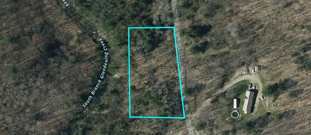 Bell Hill Road Painted Post, NY 14870 - Photo 3 of 15