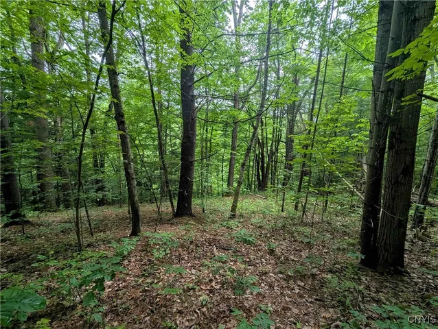 $24,900 | Bell Hill Road, Painted Post, NY 14870