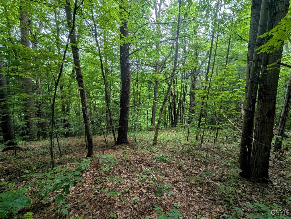 Bell Hill Road Painted Post, NY 14870 - Photo 4 of 15