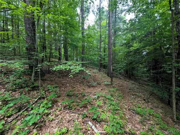 $24,900 | Bell Hill Road, Painted Post, NY 14870