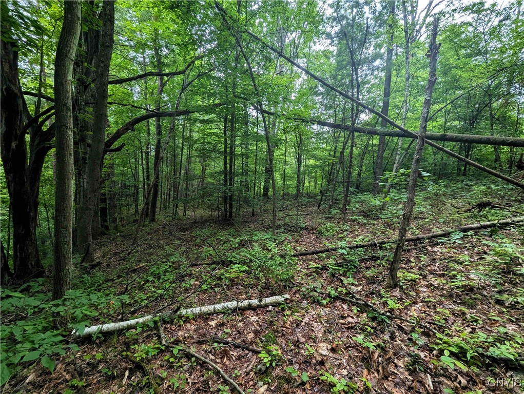 Bell Hill Road Painted Post, NY 14870 - Photo 6 of 15