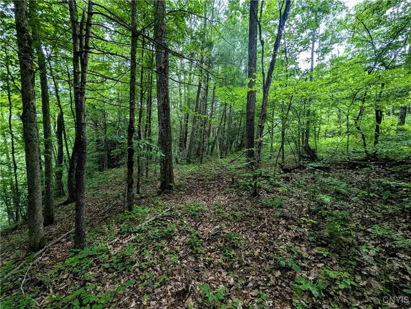$24,900 | Bell Hill Road, Painted Post, NY 14870