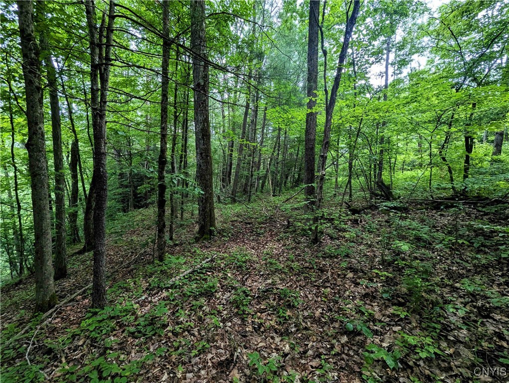 Bell Hill Road Painted Post, NY 14870 - Photo 7 of 15