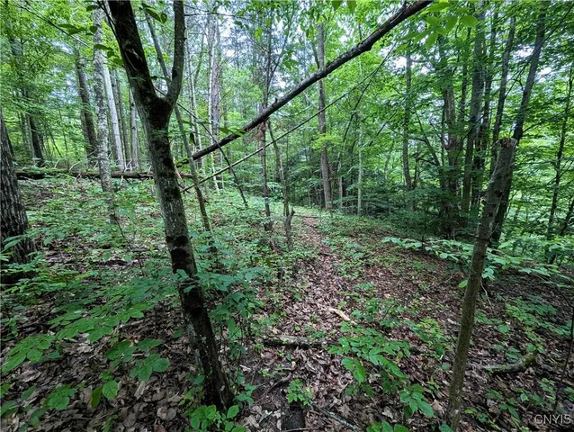 $24,900 | Bell Hill Road, Painted Post, NY 14870