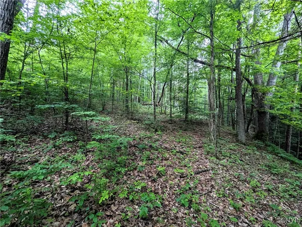 $24,900 | Bell Hill Road, Painted Post, NY 14870