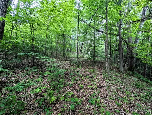 $24,900 | Bell Hill Road, Painted Post, NY 14870