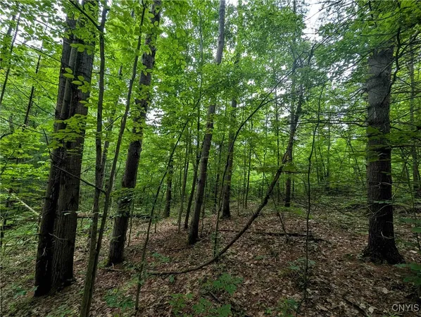 $24,900 | Bell Hill Road, Painted Post, NY 14870