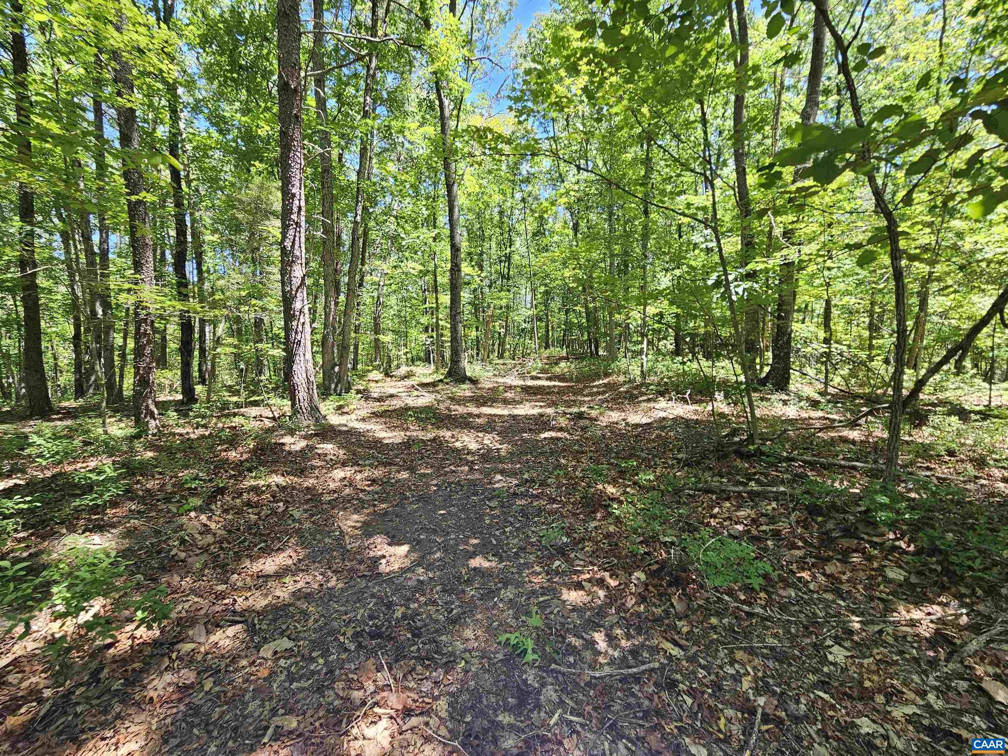 Manteo Road, Unit 2 Buckingham, VA 23921 - Photo 10 of 19
