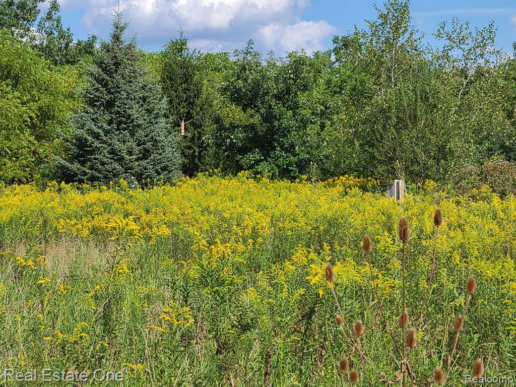 1170 Ridge Road Canton, MI 48188 - Photo 66 of 84