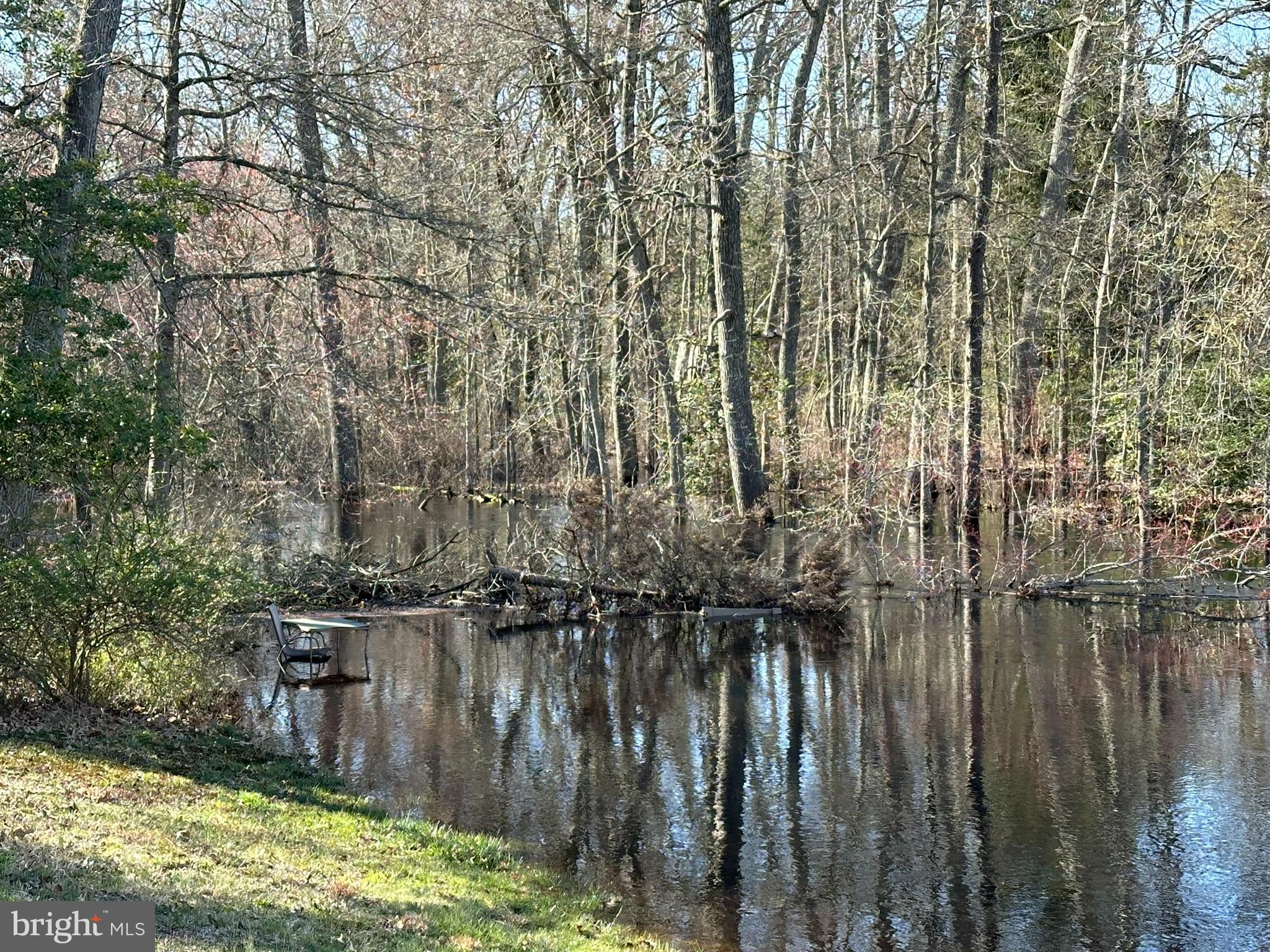 120 4 Mile Road Pemberton, NJ 08068 - Photo 3 of 7